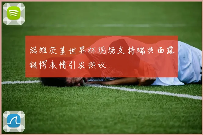 诺维茨基世界杯现场支持瑞典面露错愕表情引发热议