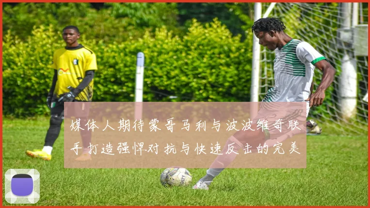 媒体人期待蒙哥马利与波波维奇联手打造强悍对抗与快速反击的完美结合